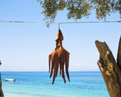 Antipaxos