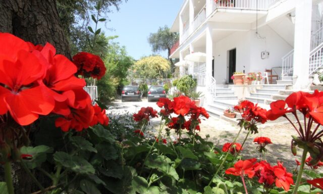Angeliki Studio & Apartment